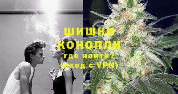 прущие грибы Гусь-Хрустальный