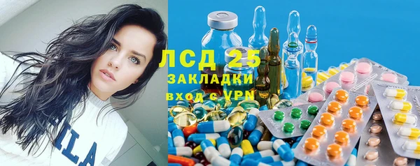 мет Дмитриев