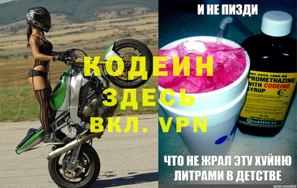 прущие грибы Гусь-Хрустальный