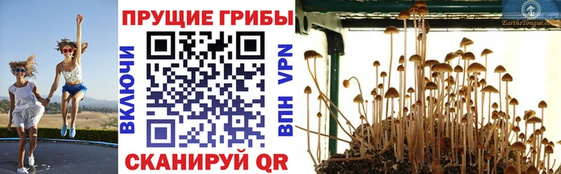 Псилоцибиновые грибы Magic Shrooms  Купить где  Калязин 